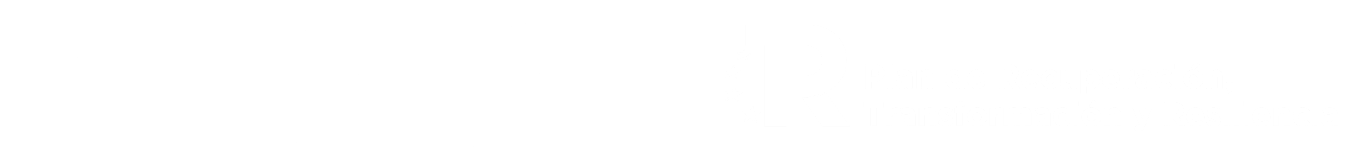 Logo Kit Digital next generation